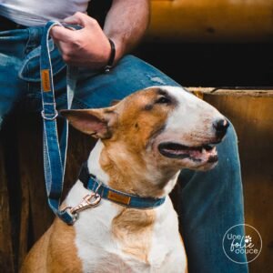 LAISSE en Jean - 6 positions en 1