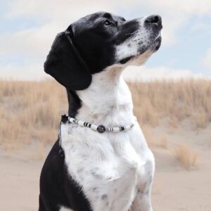 COLLIER ANTI TIQUES - COLLIER SURFEUR (grande taille)