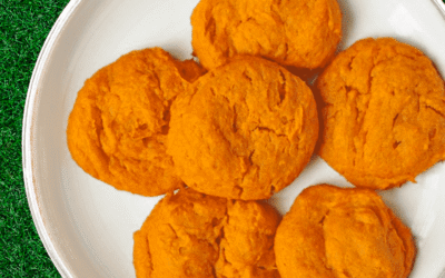 Friandises de patates douce et dinde